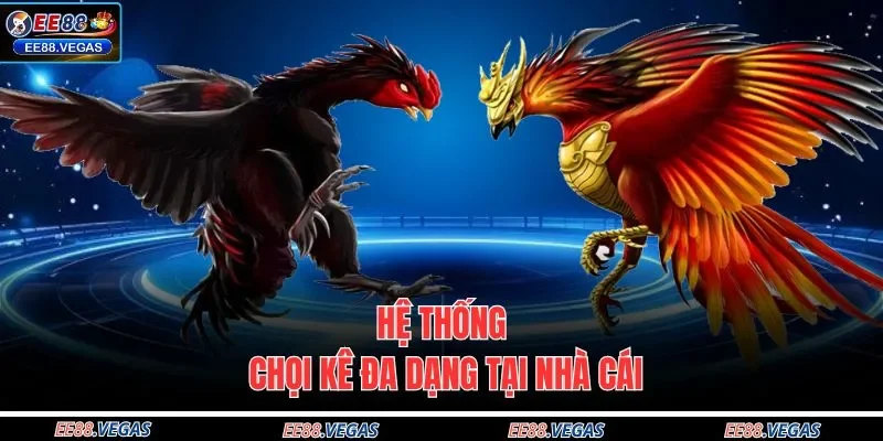 Hệ thống chọi kê đa dạng tại nhà cái